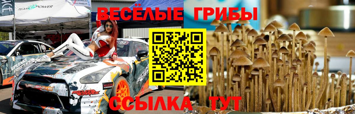 Псилоцибиновые грибы мицелий Сызрань