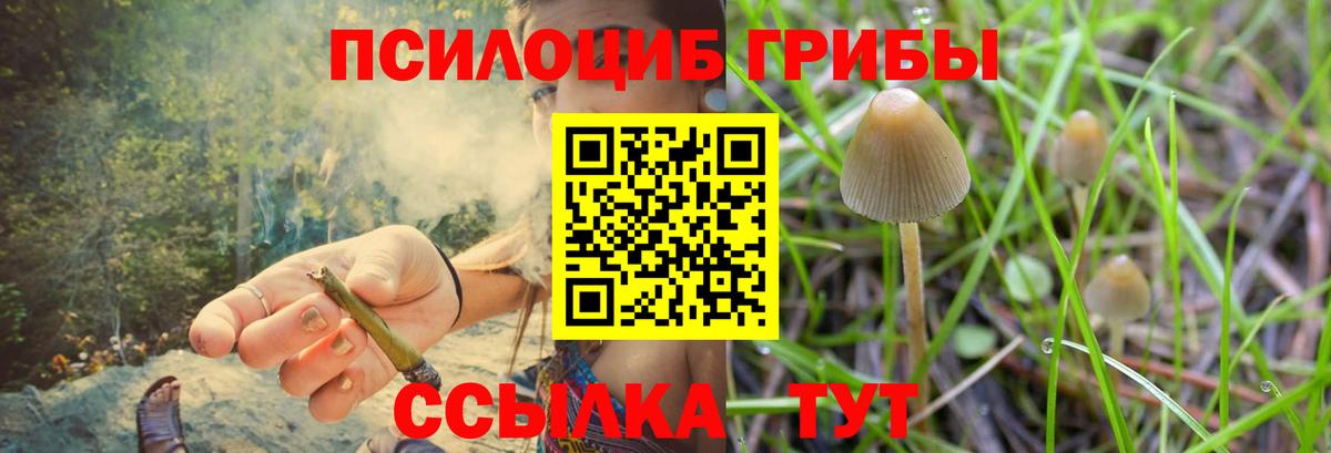 Псилоцибиновые грибы прущие грибы  Вход с VPN  Сызрань 